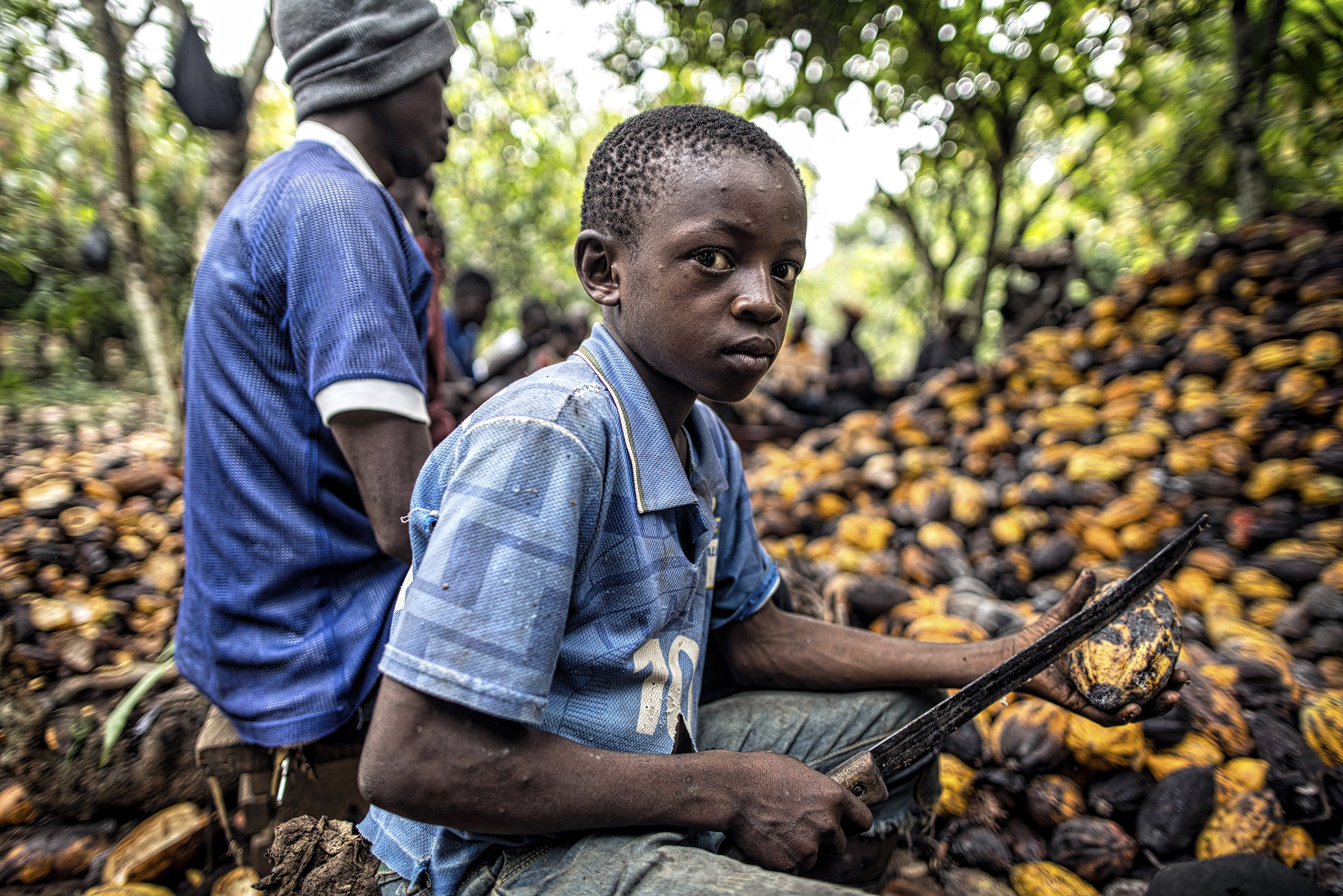 Exploitation des enfants en Côte d'Ivoire par les sociétés productrices de cacao.